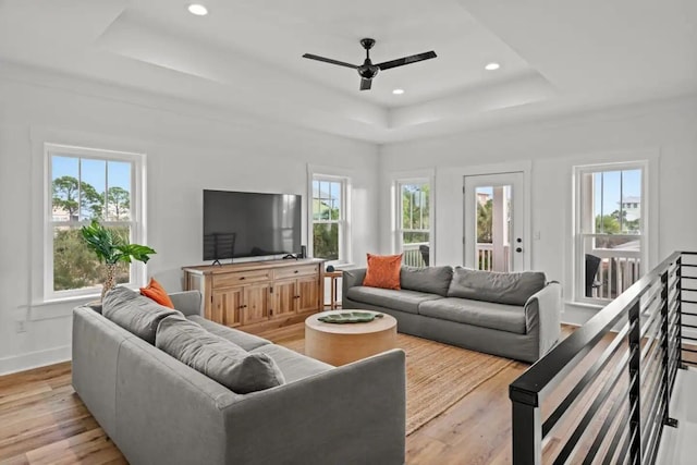 living room featuring a healthy amount of sunlight and a raised ceiling