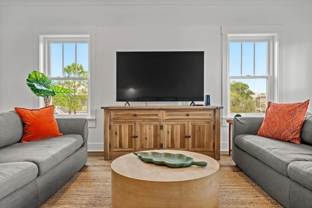 living room with a healthy amount of sunlight and light wood-type flooring