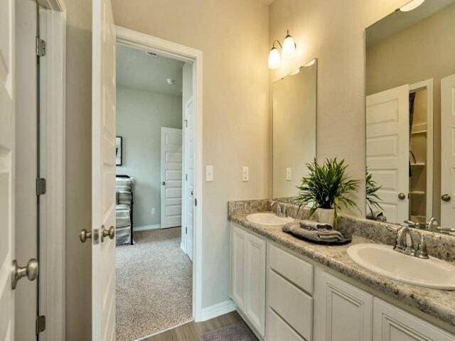 bathroom featuring wood-type flooring and vanity