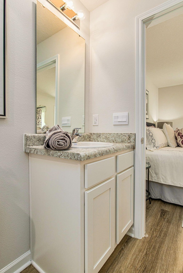 bathroom with hardwood / wood-style flooring and vanity