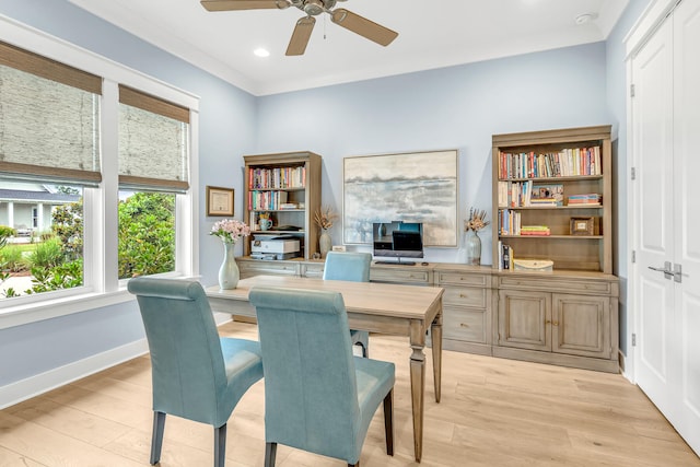 office space with light hardwood / wood-style flooring and ceiling fan