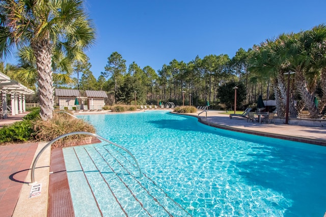 view of pool with a patio