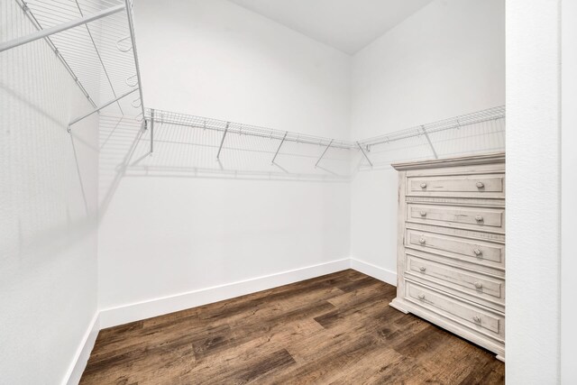 spacious closet featuring dark hardwood / wood-style floors