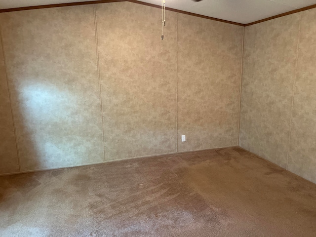 carpeted spare room featuring ornamental molding