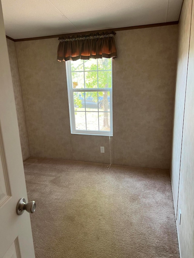 carpeted spare room with ornamental molding and a textured ceiling