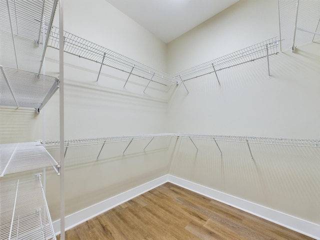 walk in closet featuring hardwood / wood-style floors