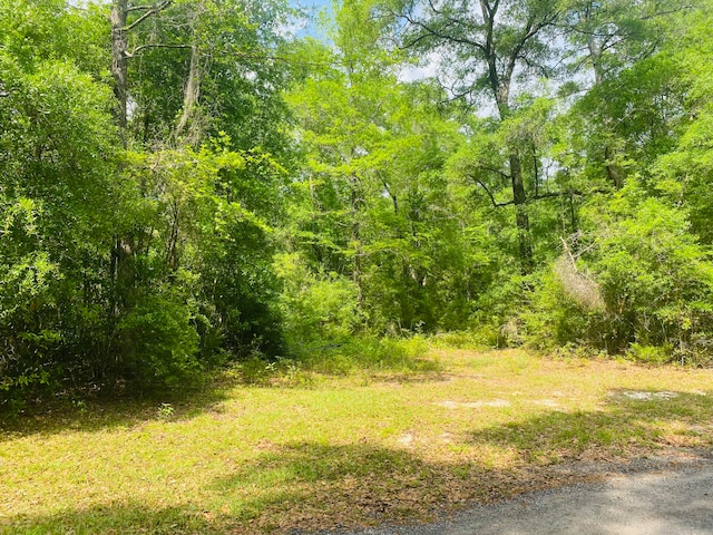 X Rosson Cove, Baker FL, 32531 land for sale