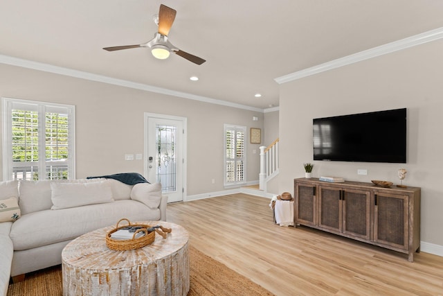 living room with ornamental molding, ceiling fan, and light wood-type flooring