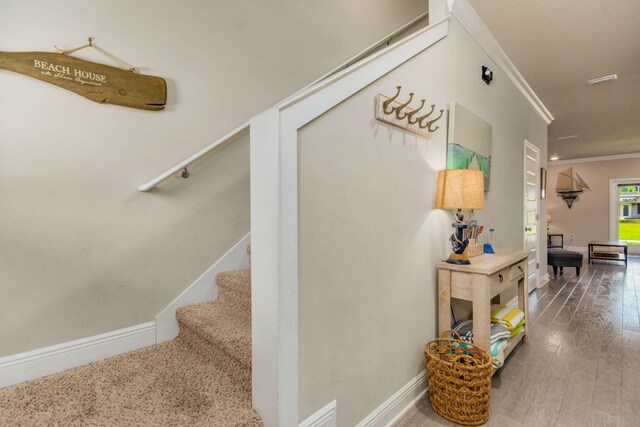 255 S S E St, Pensacola, FL 32502 - photo 36