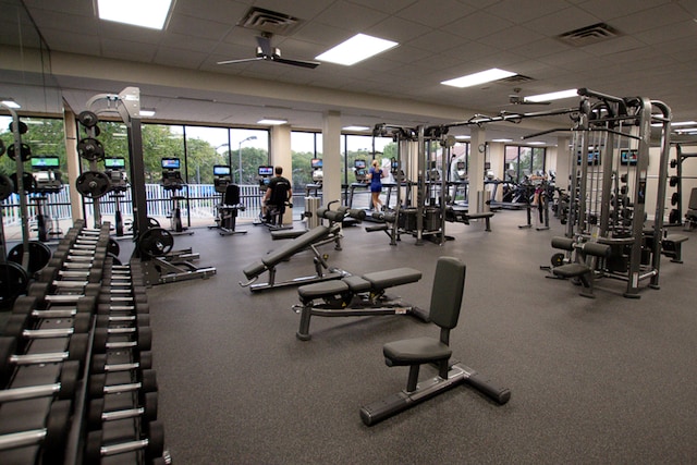 gym with ceiling fan and a paneled ceiling