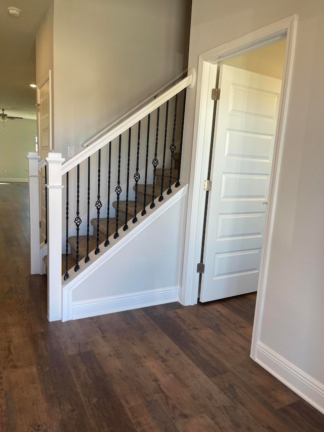 staircase with hardwood / wood-style floors