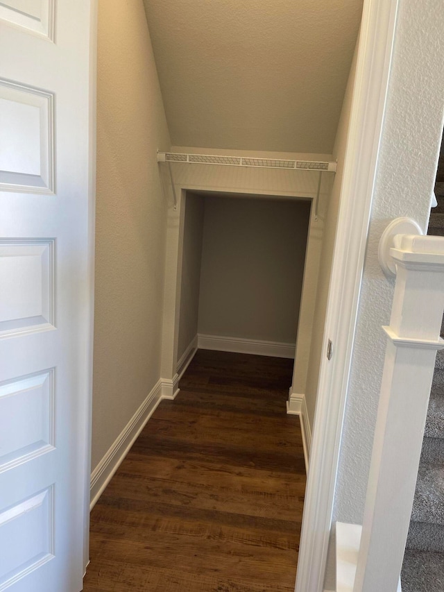 walk in closet with dark hardwood / wood-style flooring