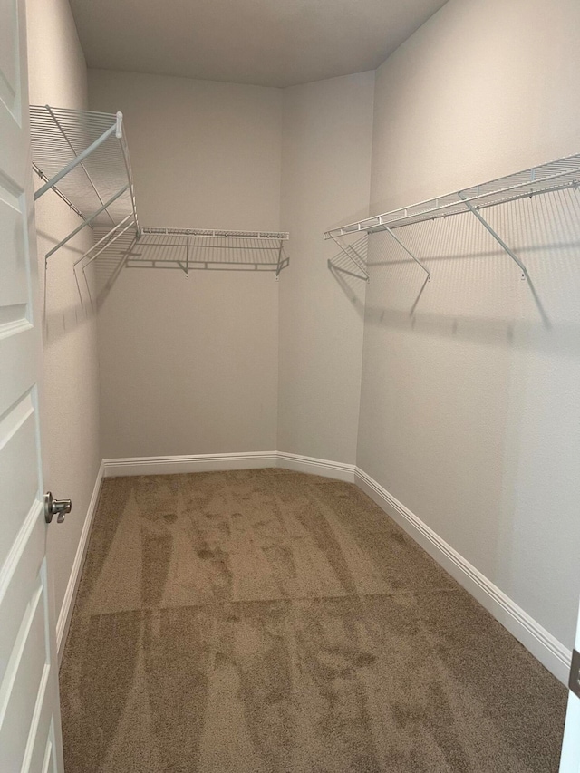 walk in closet with carpet