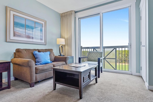 view of carpeted living room