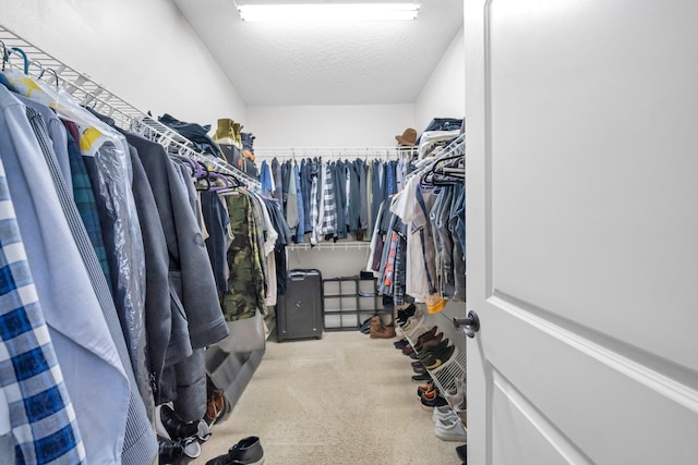 spacious closet featuring carpet