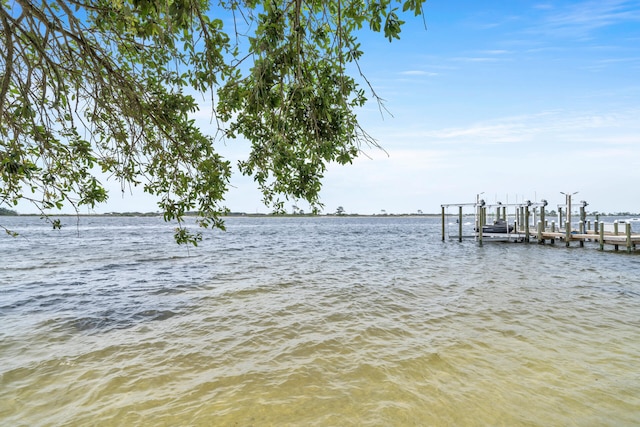 dock area with a water view