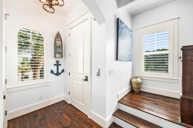 entryway featuring a healthy amount of sunlight and dark hardwood / wood-style floors