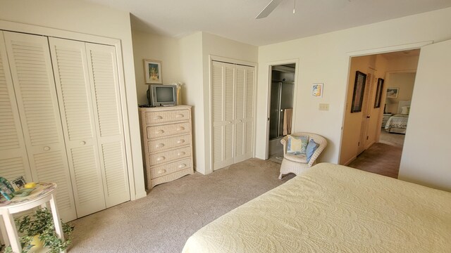 bedroom featuring carpet, ceiling fan, and multiple closets