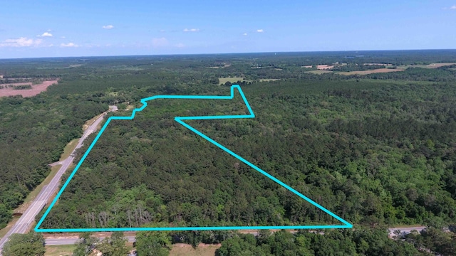 Listing photo 3 for 50ACRES N US Highway 331, Defuniak Springs FL 32433