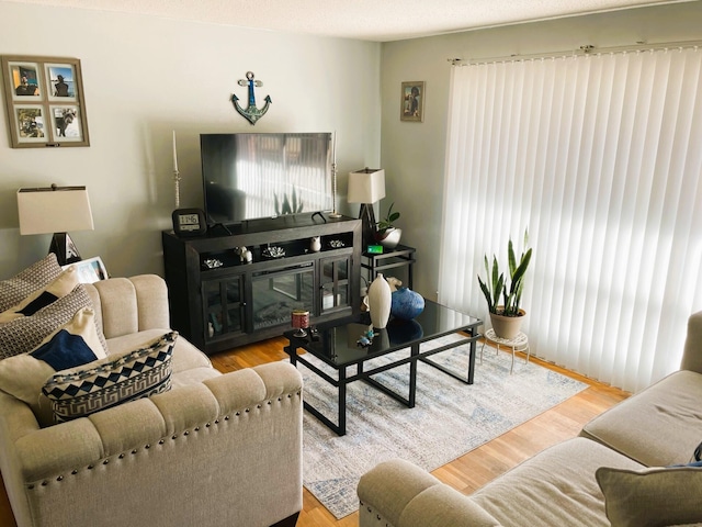 living room featuring a textured ceiling and wood-type flooring