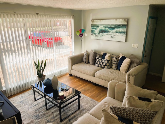 living room with a textured ceiling and wood-type flooring