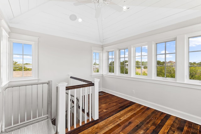 hallway with plenty of natural light, dark hardwood / wood-style flooring, and vaulted ceiling