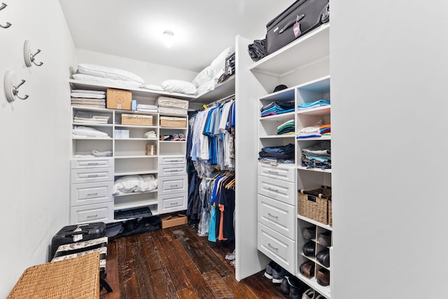 walk in closet featuring dark wood-type flooring