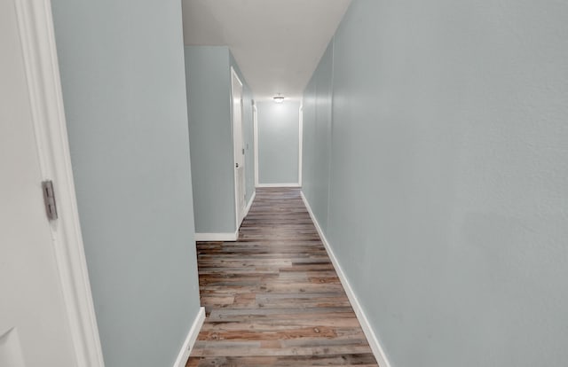 hallway with wood-type flooring