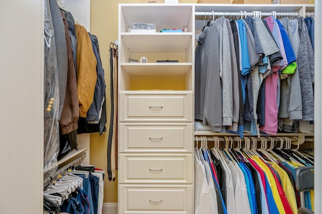 view of spacious closet