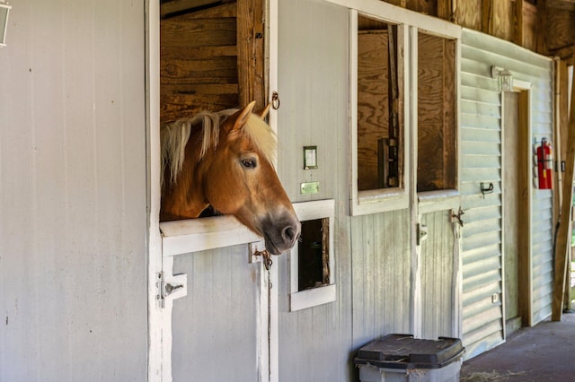 view of horse barn