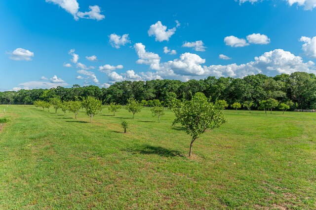 view of local wilderness with a rural view