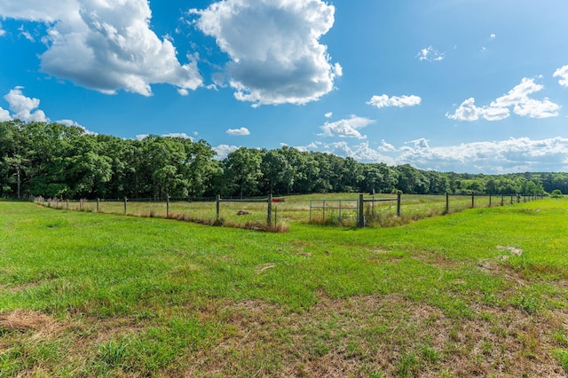 view of yard with a rural view