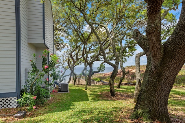 view of yard featuring central AC