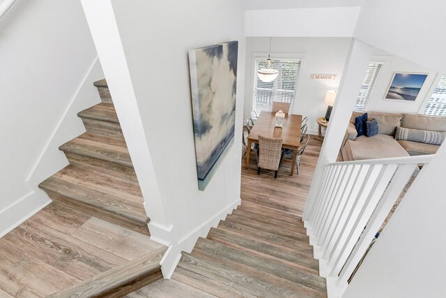 stairs with hardwood / wood-style floors