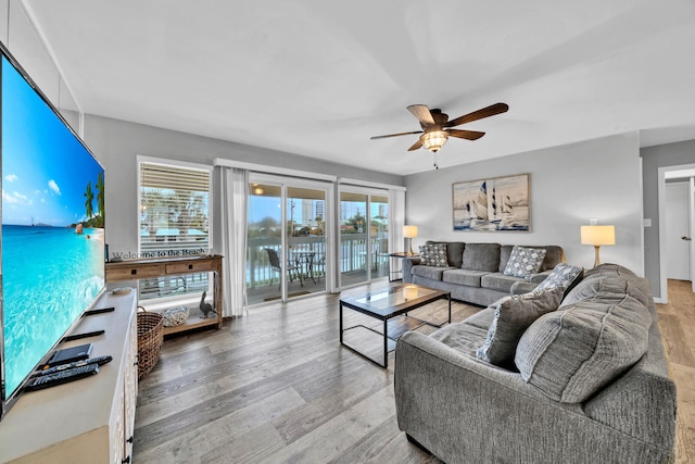 living room with ceiling fan and light wood-type flooring