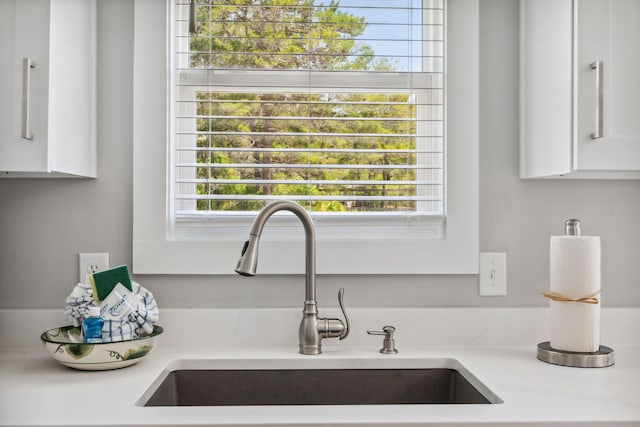 interior details featuring sink