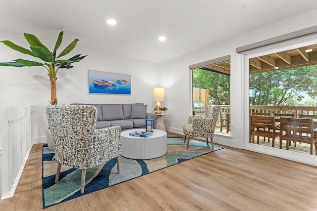 living room with light hardwood / wood-style flooring and a healthy amount of sunlight