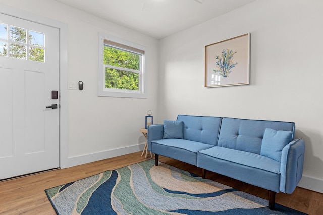 living room featuring light hardwood / wood-style flooring