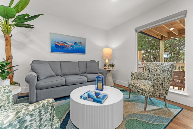 living room featuring light hardwood / wood-style flooring