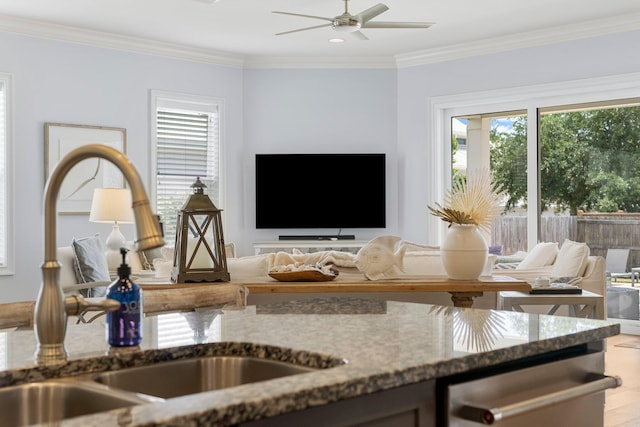 interior space with sink, ceiling fan, and crown molding