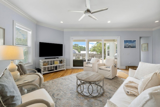 living room featuring ceiling fan, light hardwood / wood-style floors, and ornamental molding