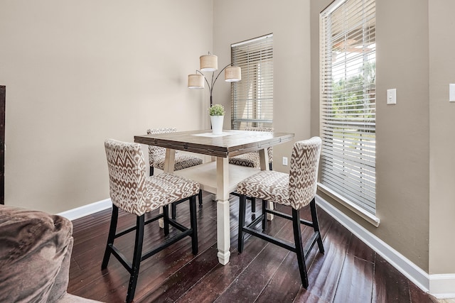 dining room featuring dark hardwood / wood-style flooring