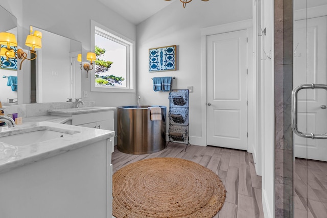 bathroom with hardwood / wood-style floors and vanity