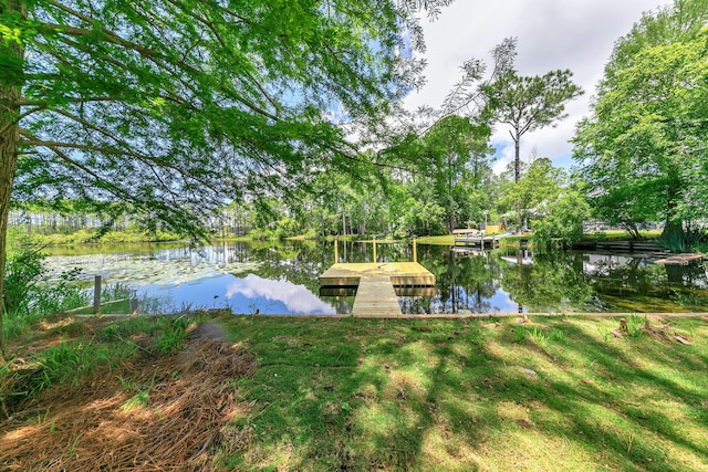 dock area with a water view