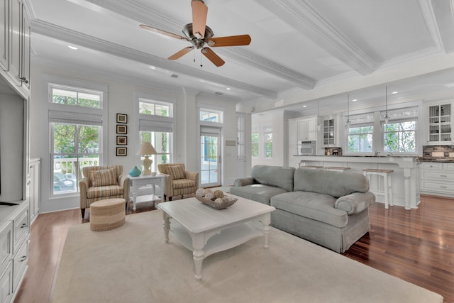 living room featuring wood-type flooring, beamed ceiling, and a healthy amount of sunlight