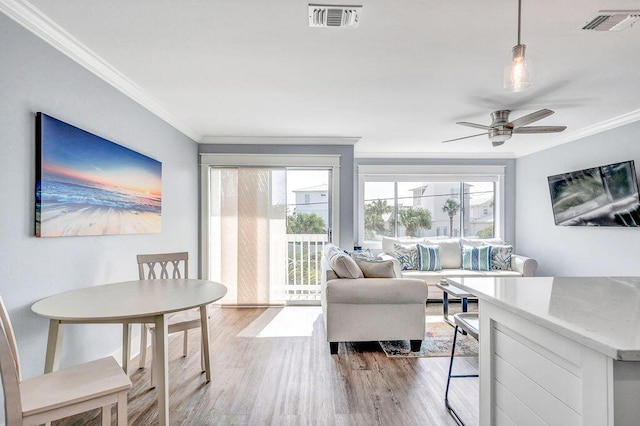 living room featuring light hardwood / wood-style flooring, ceiling fan, and ornamental molding