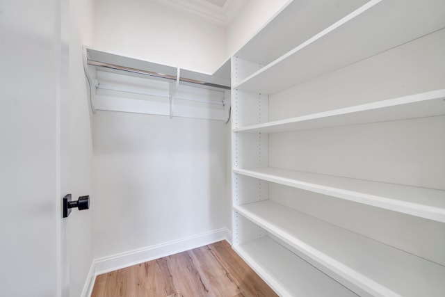 walk in closet with hardwood / wood-style flooring