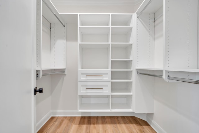 spacious closet featuring hardwood / wood-style floors