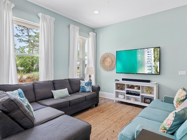 living room featuring wood-type flooring