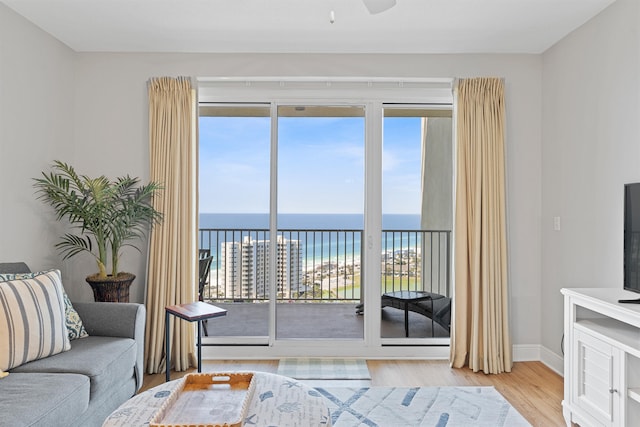 living room featuring light hardwood / wood-style floors and a water view